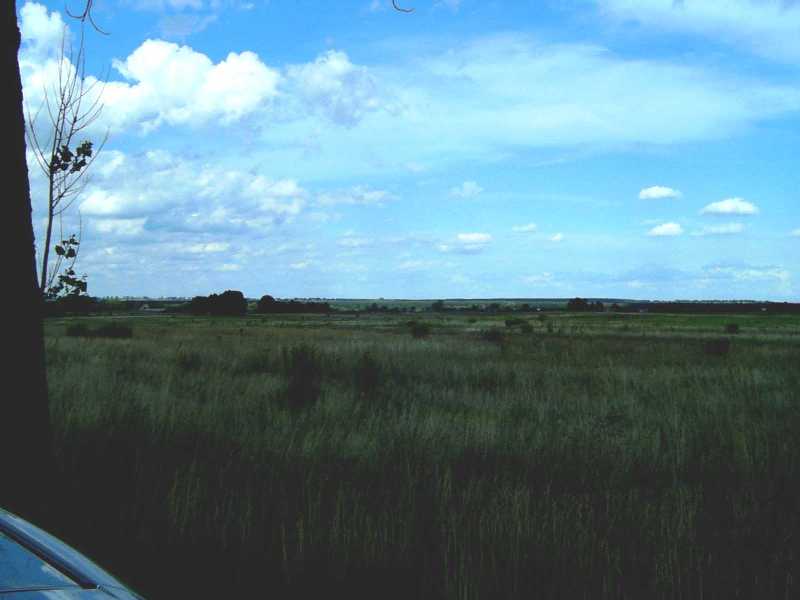 Polish countryside